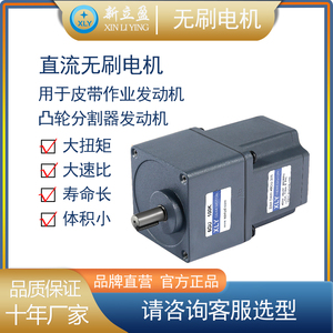 新立盈永磁无刷电机