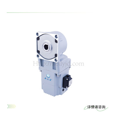 XLY新立盈 直流无刷调速电机RC2驱动一体式