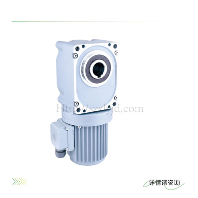 XLY新立盈 三相减速电机F3系列（中空轴）